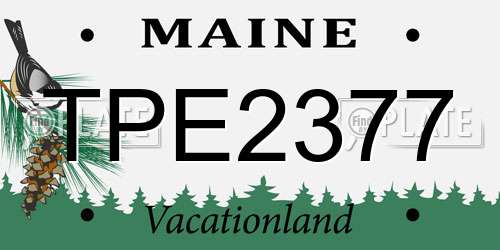 TPE2377 Maine License Plate