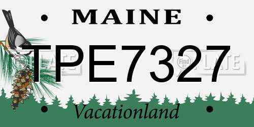 TPE7327 Maine License Plate