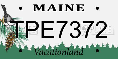 TPE7372 Maine License Plate