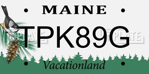 TPK89G Maine License Plate