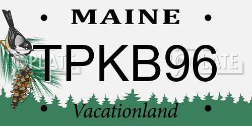 TPKB96 Maine License Plate