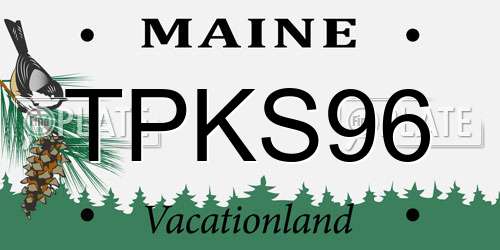 TPKS96 Maine License Plate