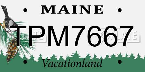 TPM7667 Maine License Plate