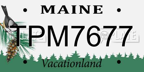 TPM7677 Maine License Plate