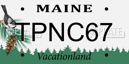 TPNC67 Maine License Plate