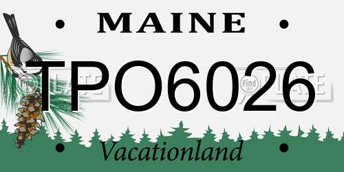 TPO6026 Maine License Plate