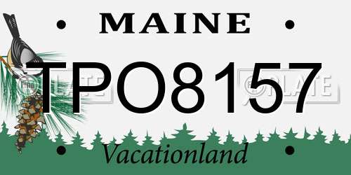 TPO8157 Maine License Plate