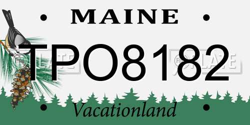 TPO8182 Maine License Plate