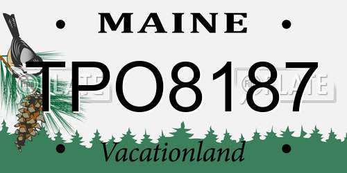 TPO8187 Maine License Plate