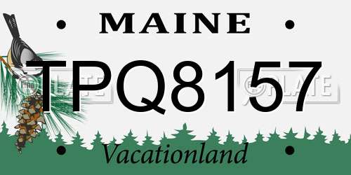 TPQ8157 Maine License Plate