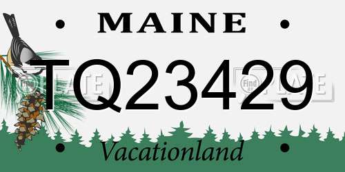 TQ23429 Maine License Plate