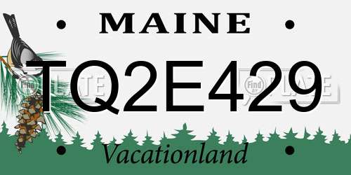 TQ2E429 Maine License Plate