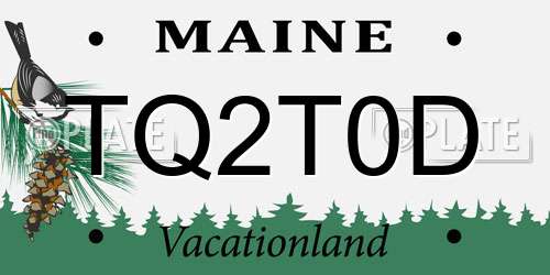 TQ2T0D Maine License Plate