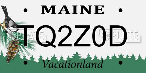 TQ2Z0D Maine License Plate