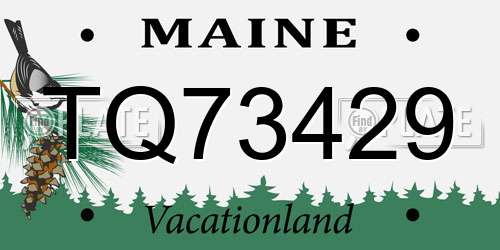 TQ73429 Maine License Plate