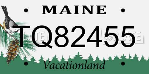 TQ82455 Maine License Plate
