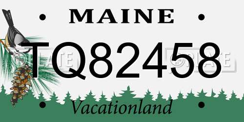 TQ82458 Maine License Plate