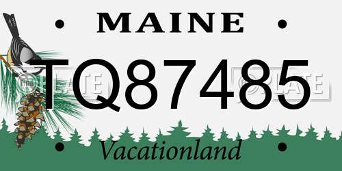 TQ87485 Maine License Plate