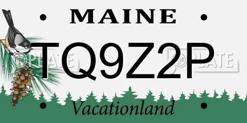 TQ9Z2P Maine License Plate