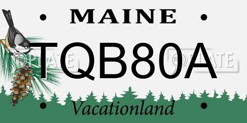 TQB80A Maine License Plate