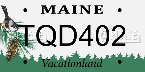 TQD402 Maine License Plate
