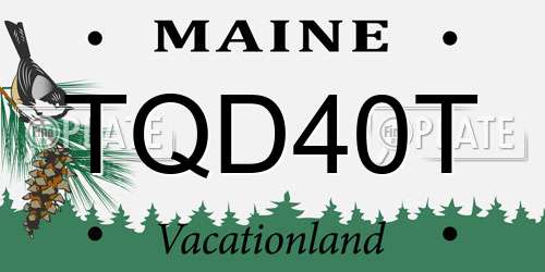 TQD40T Maine License Plate