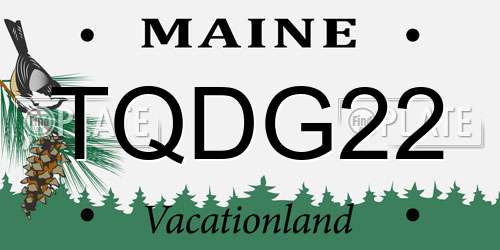 TQDG22 Maine License Plate