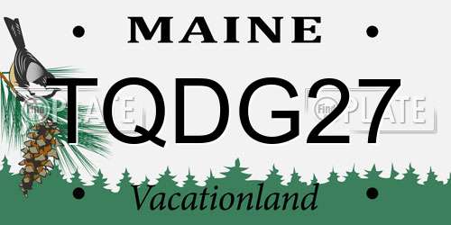 TQDG27 Maine License Plate