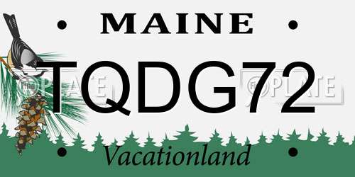 TQDG72 Maine License Plate