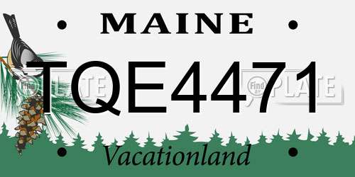 TQE4471 Maine License Plate