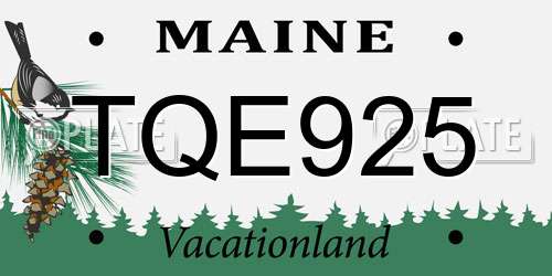 TQE925 Maine License Plate
