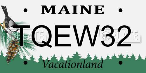 TQEW32 Maine License Plate