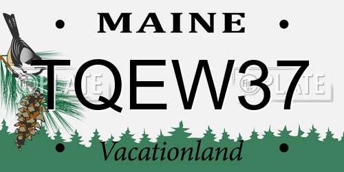 TQEW37 Maine License Plate