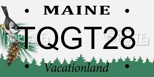 TQGT28 Maine License Plate
