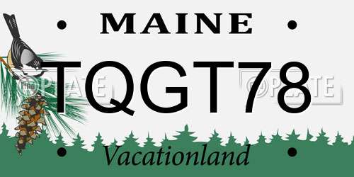 TQGT78 Maine License Plate