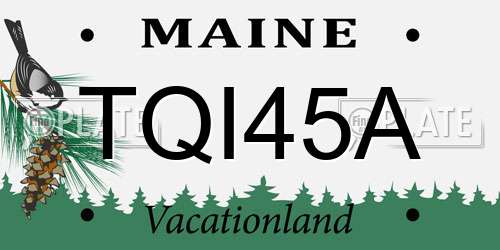 TQI45A Maine License Plate