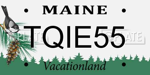 TQIE55 Maine License Plate