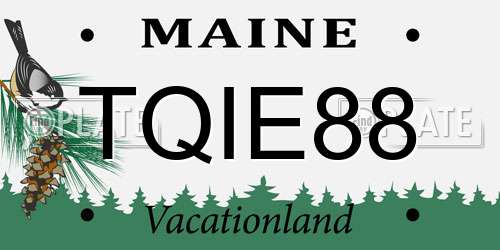 TQIE88 Maine License Plate
