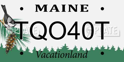 TQO40T Maine License Plate