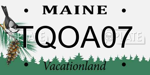 TQOA07 Maine License Plate