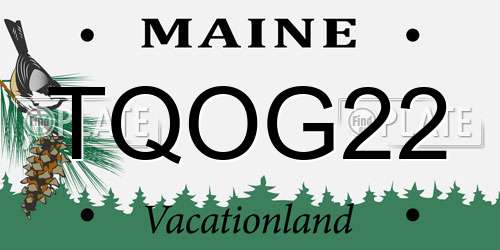 TQOG22 Maine License Plate