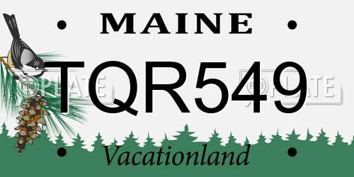 TQR549 Maine License Plate