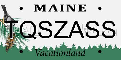 TQSZASS Maine License Plate