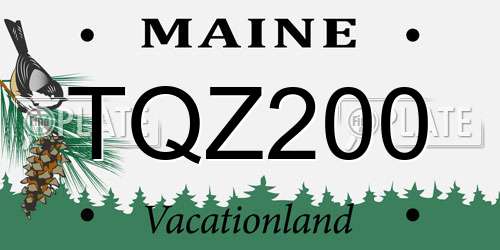 TQZ200 Maine License Plate