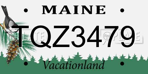 TQZ3479 Maine License Plate