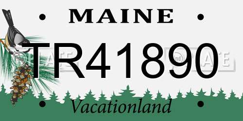 TR41890 Maine License Plate