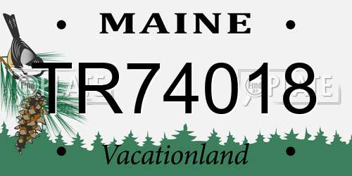 TR74018 Maine License Plate