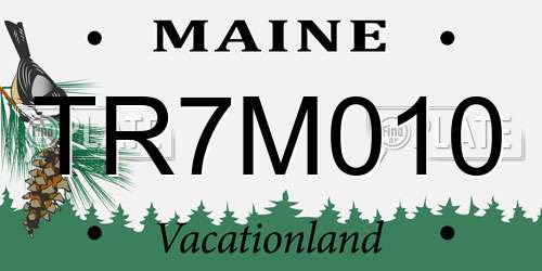 TR7M010 Maine License Plate
