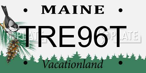 TRE96T Maine License Plate
