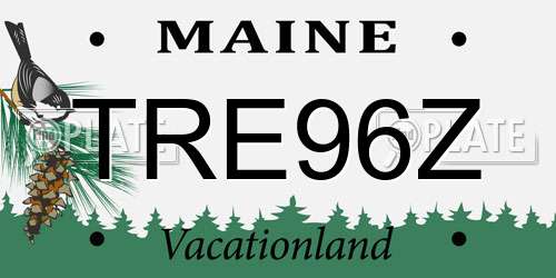TRE96Z Maine License Plate